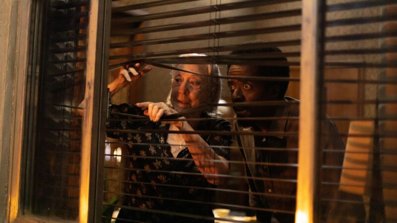 Vitória: a bravura muito além da ficção de uma mulher contra o poder paralelo carioca